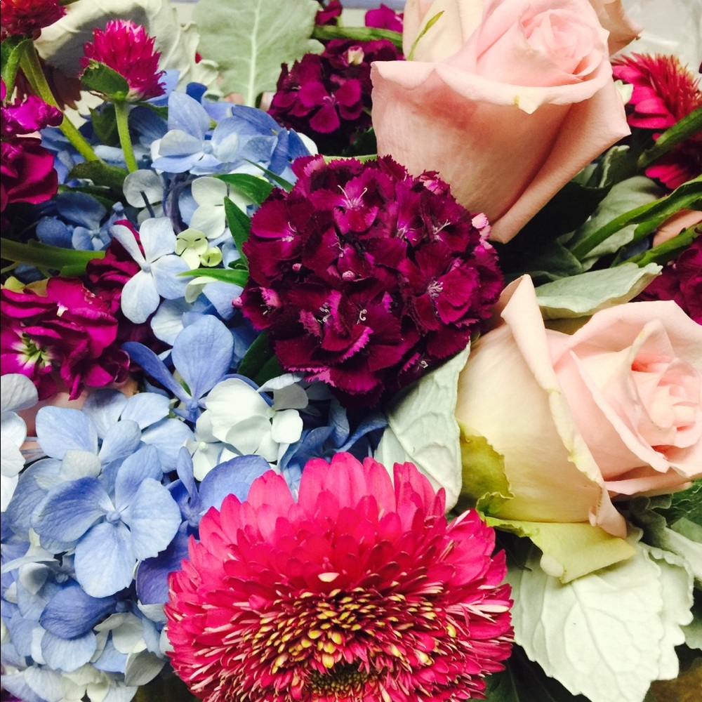 Meet your Posher, Dolores